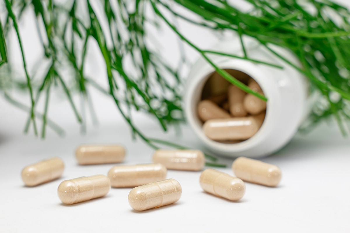 Collagen and joint cartilage health