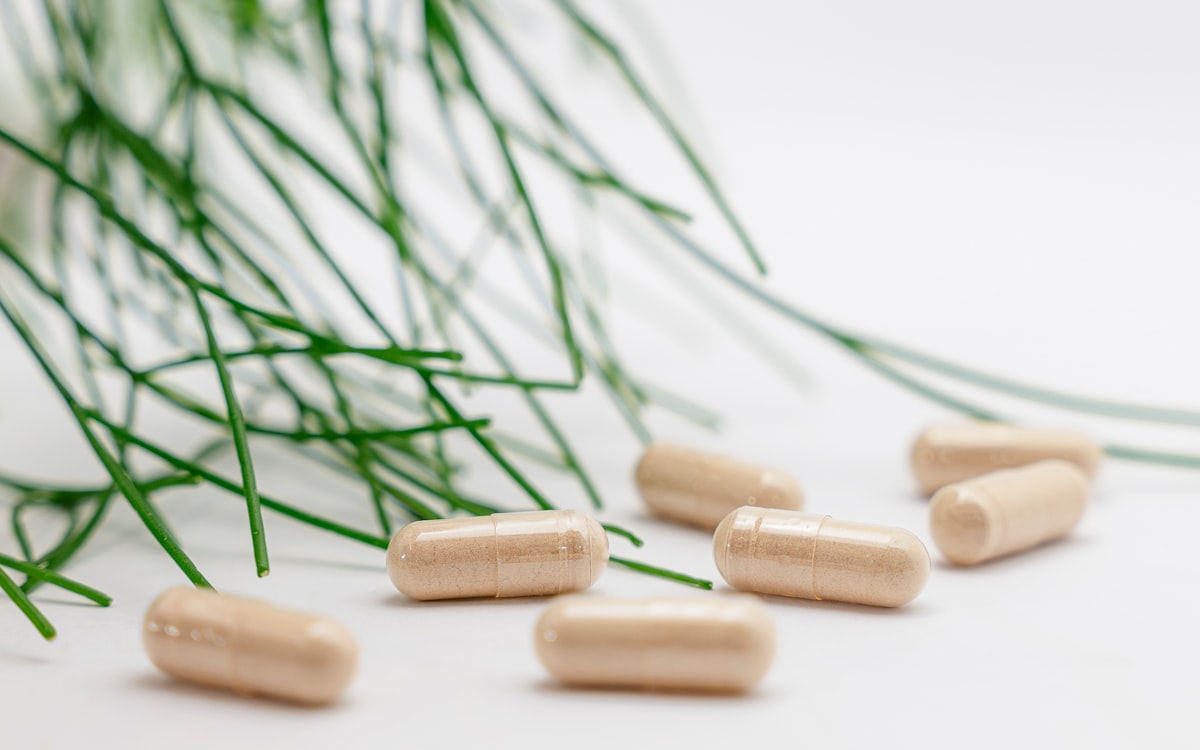 Ageing and natural joint support strategies